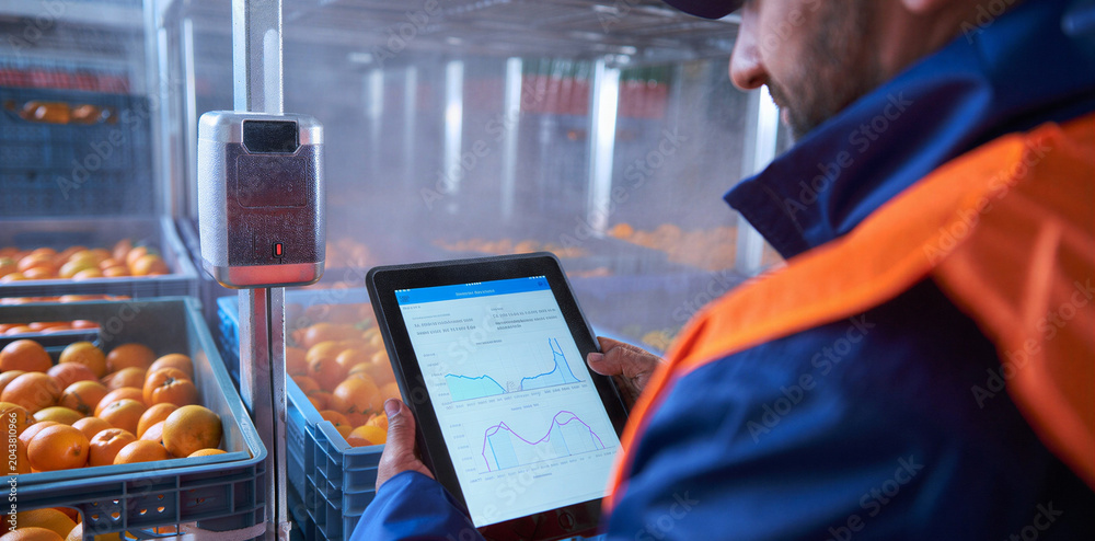 Operator bekijkt trend-grafieken op een tablet naast kratten citrusvruchten in een koelcel